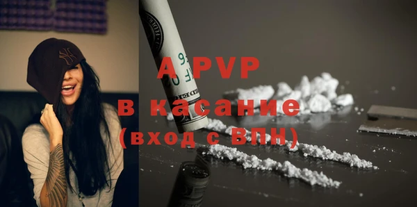 стафф Дмитровск