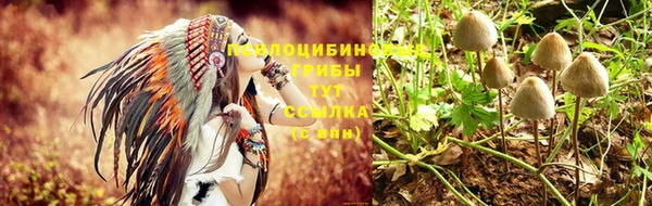 дурь Гусь-Хрустальный