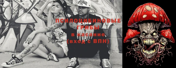 дурь Гусь-Хрустальный