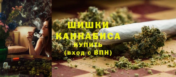 стафф Дмитровск