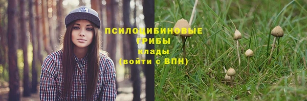 твердый Дмитриев
