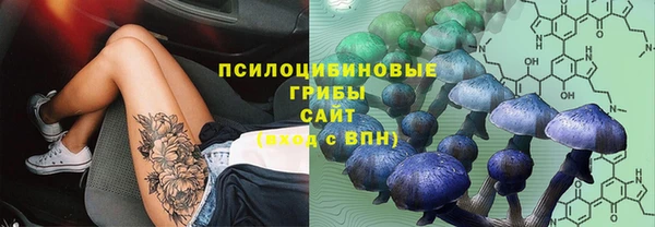 MDMA Premium VHQ Гусев