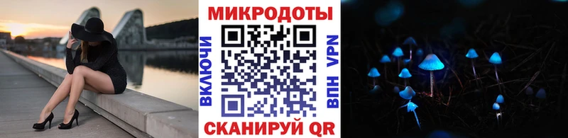 Псилоцибиновые грибы Cubensis Ликино-Дулёво
